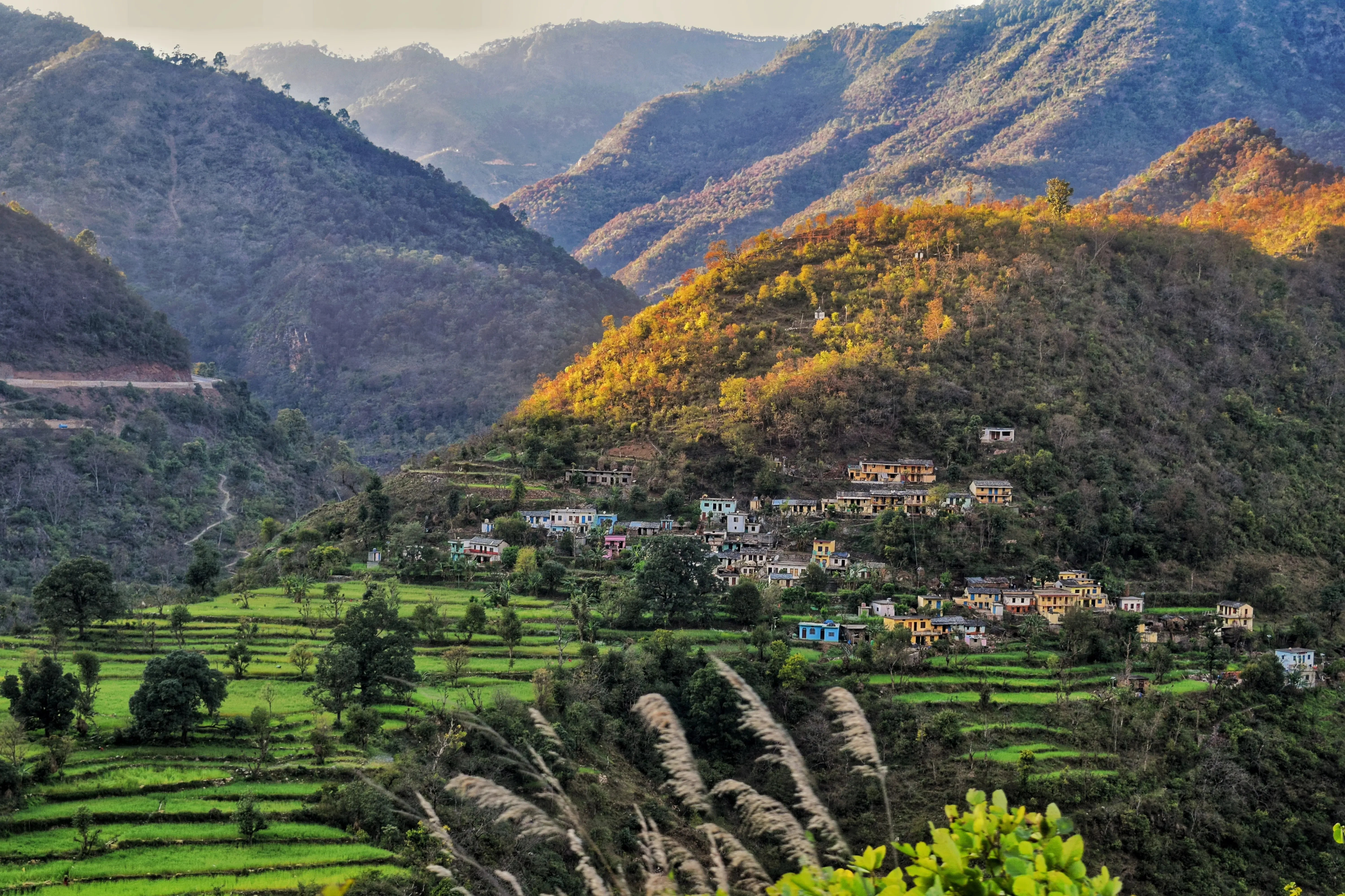 Dhak Village