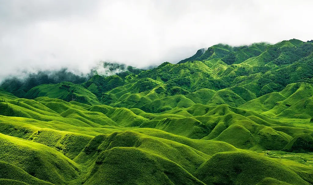 Dzukou Valley in Assam.webp