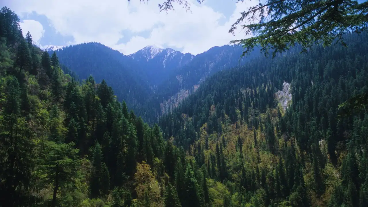 Himalayan Nature Park.webp