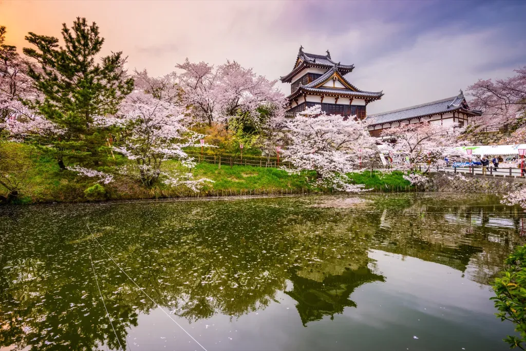 Hiroshima History & Cherry Blossoms in Japan in March