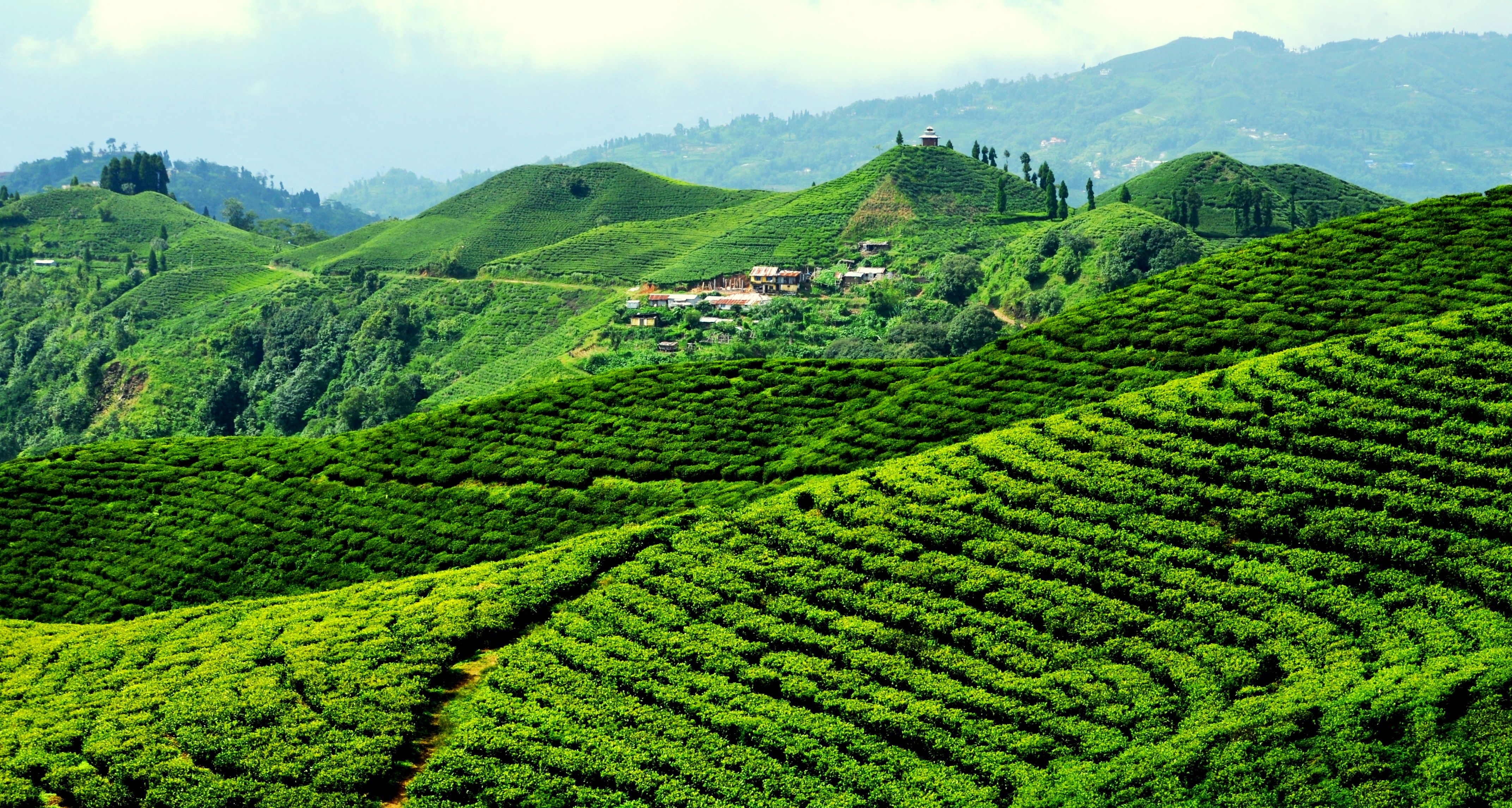 Ilam.jpg