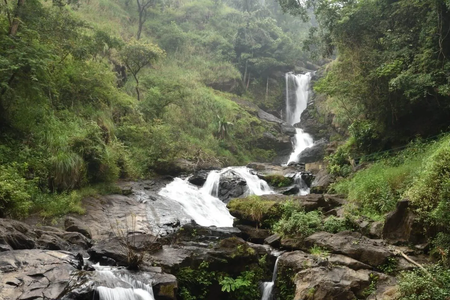 Iruppu Falls Near Abbey Falls.webp