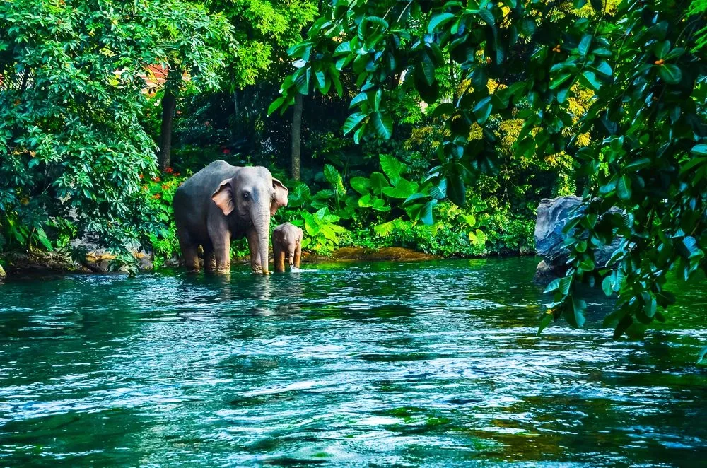 Khao Yai National Park in Thailand