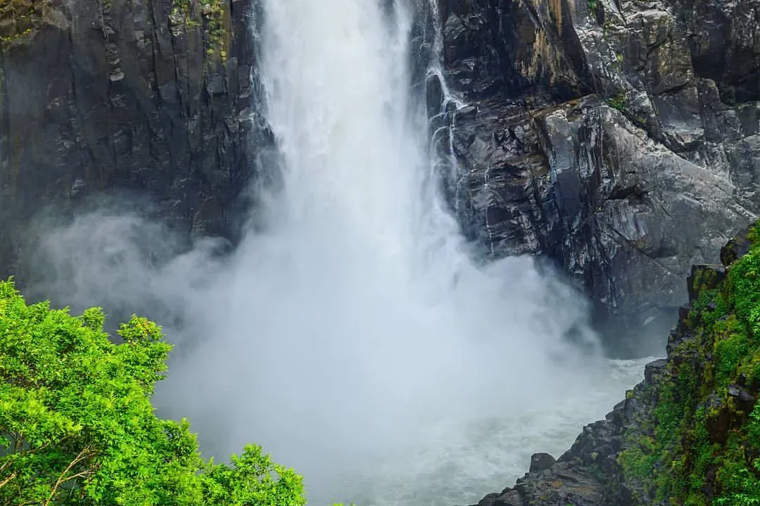 Langshiang Falls in Meghalaya.webp