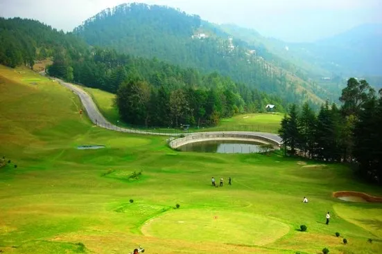 Naldehra Near Kasauli.webp