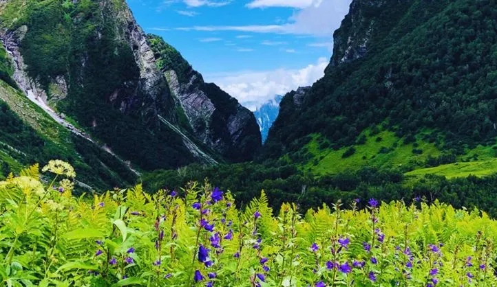 Nanda Devi National Park in Auli.webp