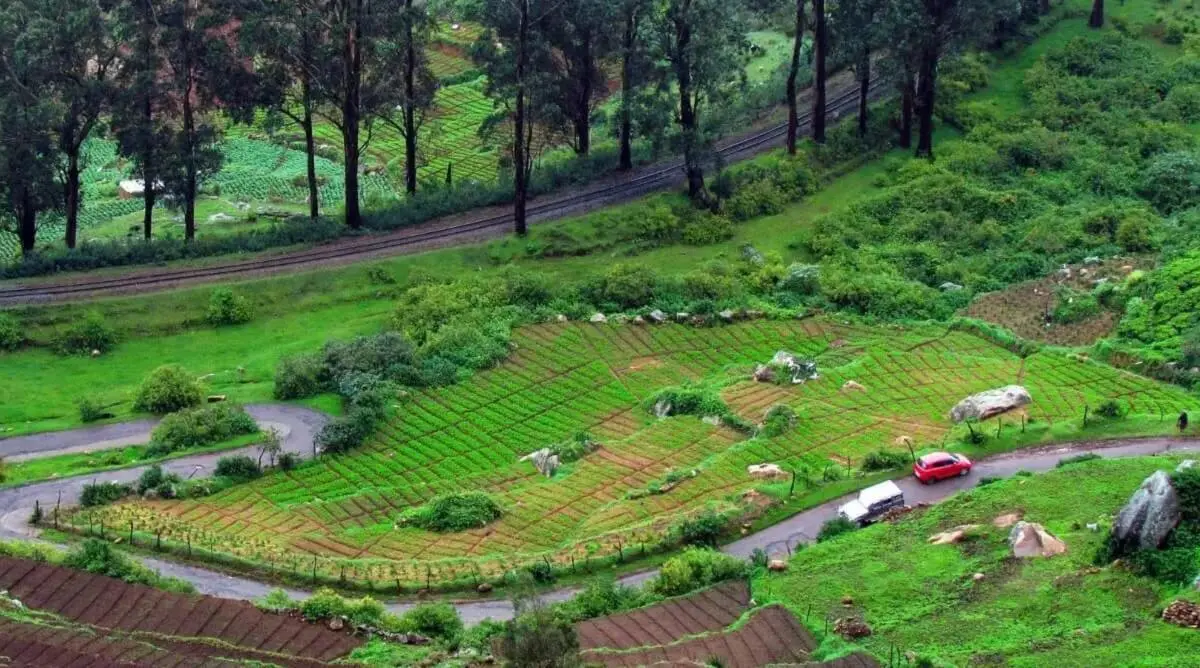 Ooty, Tamil Nadu in India in May.webp