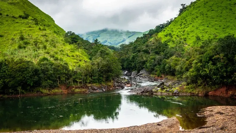 Photography in coorg.webp