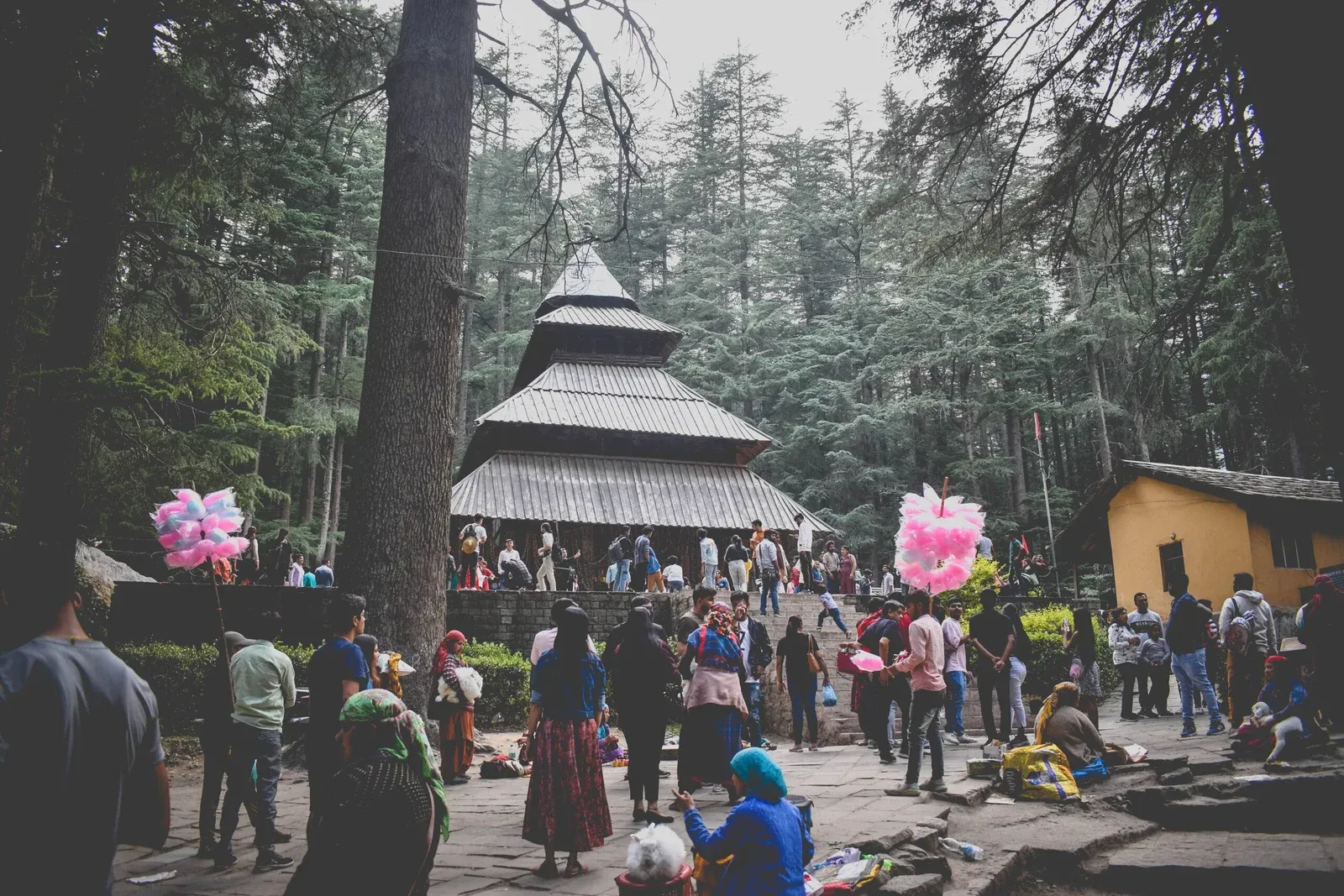 Places to visit near Hadimba Temple.webp
