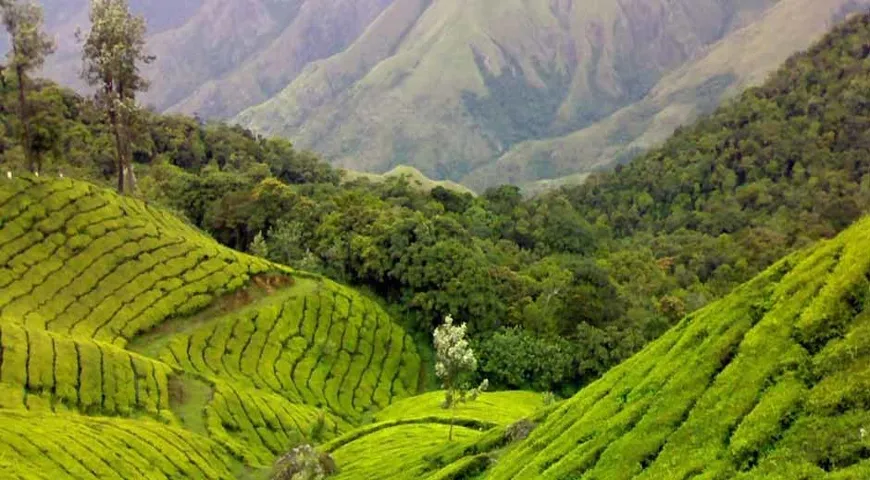 Ranikhet near Nainital.webp