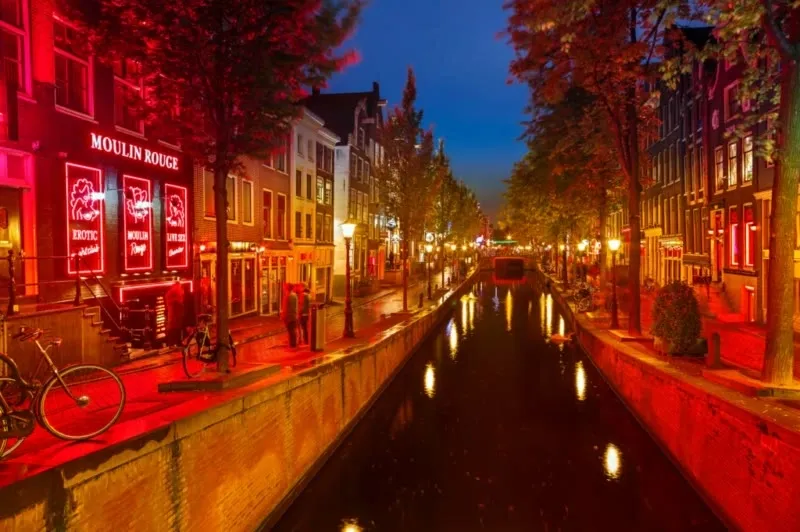 Red Light District in amsterdam.webp