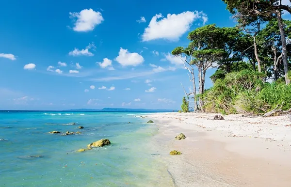 Sitapur Beach in Andaman.webp