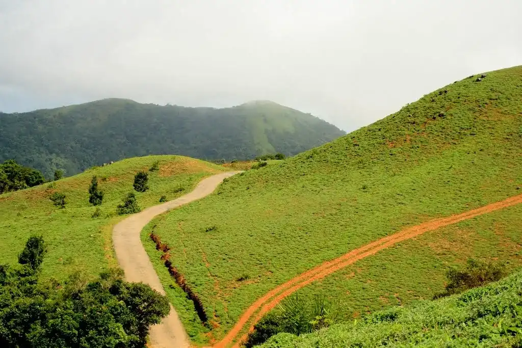 Take a Leisurely Walk Around Siri Fort Road.webp