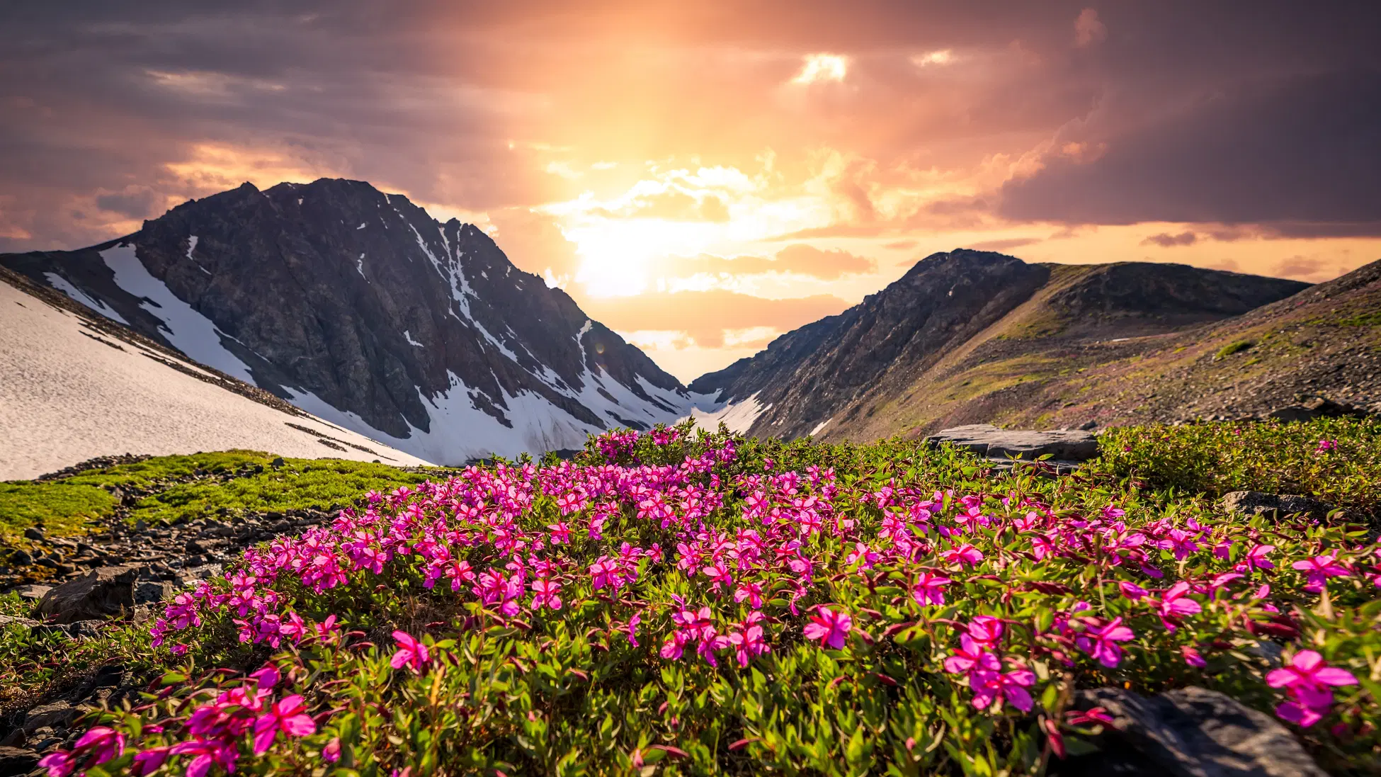 Take a Trek to Valley of Flowers