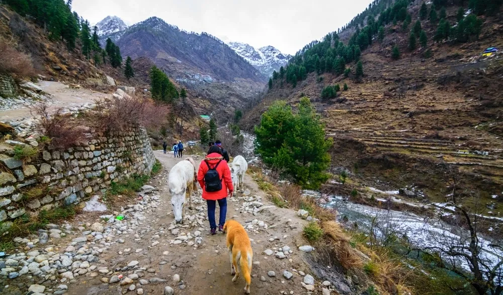 Tosh Valley Trek in Kasol