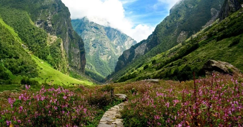 Trek the Valley of Flowers in Uttarakhand in June.webp