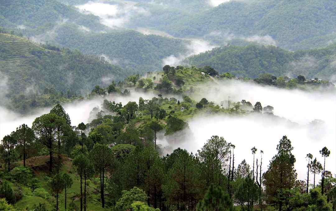 Walk in the laps of mother nature and seek solace.jpg