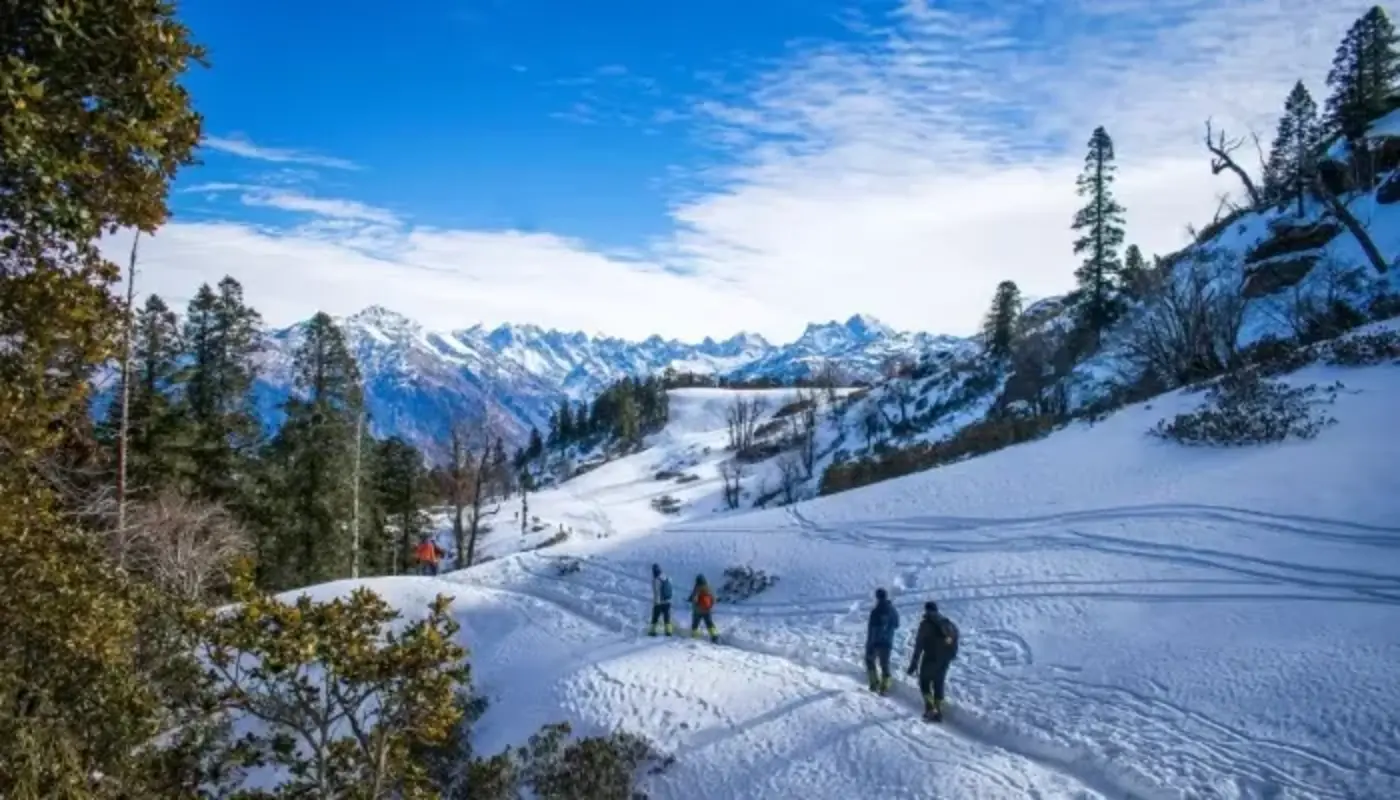 Wintry Weathe.webp